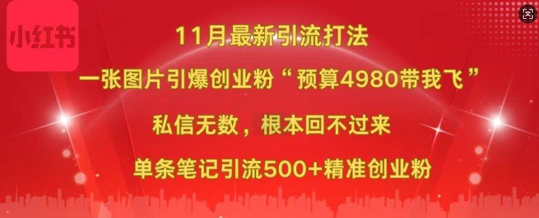 小红书11月最新图片打粉，一张图片引爆创业粉，“预算4980带我飞”，单条引流500+精准创业粉|淘骐网赚资源库