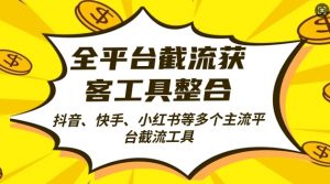 全平台截流获客工县整合全自动引流,日引2000+精准客户【揭秘】|淘骐网赚资源库