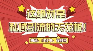 最新首发全平台引流玩法,公域引流私域玩法,轻松获客500+,附引流脚本,克隆截流自热玩法【揭秘】|淘骐网赚资源库