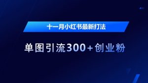 十一月小红书最新打法,单图引流300+创业粉【揭秘】|淘骐网赚资源库