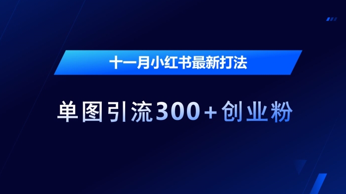十一月小红书最新打法,单图引流300+创业粉【揭秘】|淘骐网赚资源库