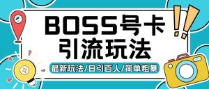Boss直聘流量卡引流变现玩法，日引200+创业粉【揭秘】|淘骐网赚资源库