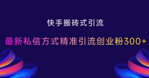 快手搬砖式引流，最新私信方式精准引流创业粉300+|淘骐网赚资源库