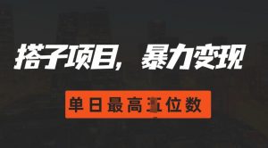 2024搭子玩法,0门槛,暴力变现,单日最高破四位数【揭秘】|淘骐网赚资源库