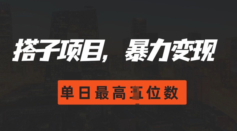 2024搭子玩法,0门槛,暴力变现,单日最高破四位数【揭秘】|淘骐网赚资源库