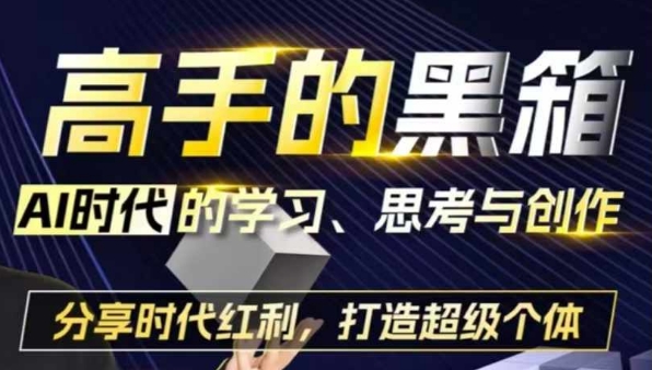 高手的黑箱:AI时代学习、思考与创作-分红时代红利,打造超级个体|淘骐网赚资源库