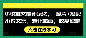 小说推文最新玩法, 图片+搭配小说文案,转化率高,收益稳定|淘骐网赚资源库
