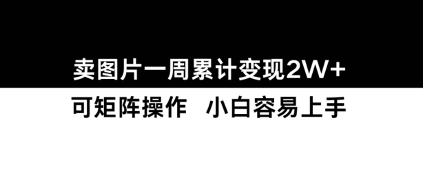 小红书【卖图片】一周累计变现2W+小白易上手|淘骐网赚资源库