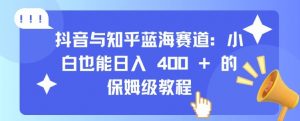 抖音与知乎蓝海赛道:小白也能日入 4张 的保姆级教程|淘骐网赚资源库