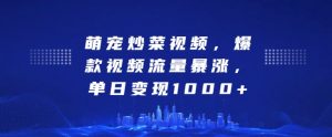 萌宠炒菜视频,爆款视频流量暴涨,单日变现1k|淘骐网赚资源库
