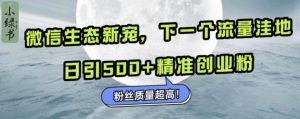 微信生态新宠小绿书:下一个流量洼地,日引500+精准创业粉,粉丝质量超高|淘骐网赚资源库