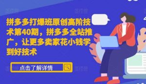 拼多多打爆班原创高阶技术第40期,拼多多全站推广,让更多卖家花小钱学到好技术|淘骐网赚资源库