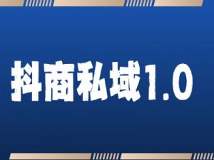 抖商服务私域1.0，抖音引流获客详细教学|淘骐网赚资源库
