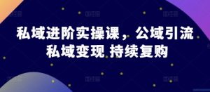 私域进阶实操课,公域引流 私域变现 持续复购|淘骐网赚资源库