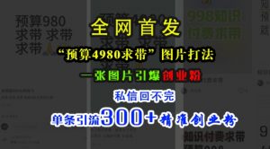 小红书“预算4980带我飞”图片打法,一张图片引爆创业粉,私信回不完,单条引流300+精准创业粉|淘骐网赚资源库