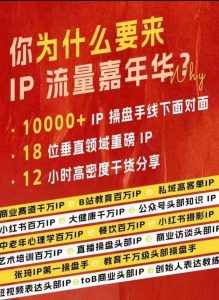 群响IP流量嘉年华，​现场视频+IP江湖2024典藏版PPT|淘骐网赚资源库