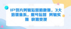 IP切片剪辑运营陪跑课,3大培训体系,账号运营 剪辑实操 快速变现|淘骐网赚资源库