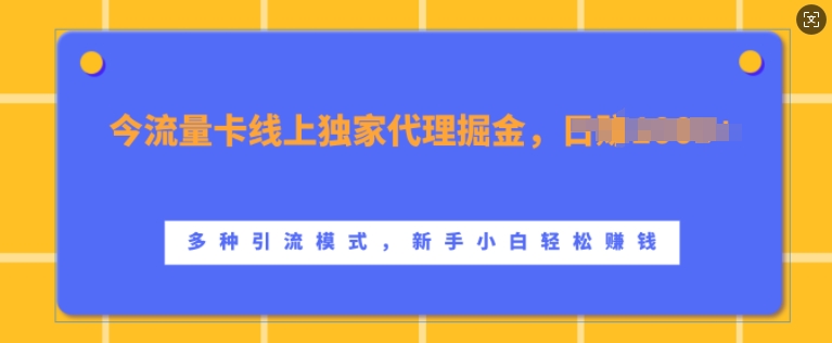 流量卡线上独家代理掘金，日入1k+ ，多种引流模式，新手小白轻松上手【揭秘】|淘骐网赚资源库