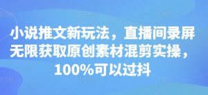 小说推文新玩法，直播间录屏无限获取原创素材混剪实操，100%可以过抖|淘骐网赚资源库