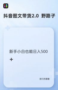 抖音图文带货野路子2.0玩法,暴力起号,单日收益多张,小白也可轻松上手【揭秘】|淘骐网赚资源库