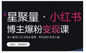 小红书博主爆粉变现课,深入解读小红书商业逻辑,带你进阶变现大咖|淘骐网赚资源库