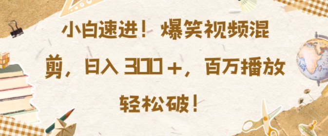 小白速进，爆笑视频混剪，日入3张，百万播放轻松破【揭秘】|第一资源库