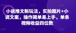 小说推文新玩法，实拍图片+小说文案，操作简单易上手，单条视频收益四位数|淘骐网赚资源库