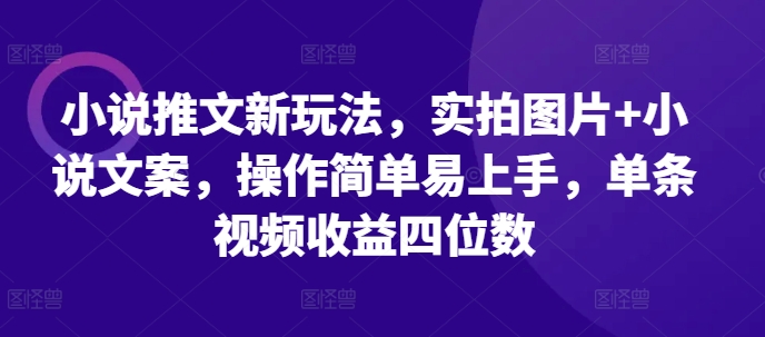 小说推文新玩法,实拍图片+小说文案,操作简单易上手,单条视频收益四位数|淘骐网赚资源库