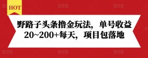 野路子头条撸金玩法,单号收益20~200+每天,项目包落地|淘骐网赚资源库
