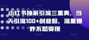 小红书独家引流三重奏,当天引流100+创业粉,流量爆炸不愁变现【揭秘】|淘骐网赚资源库