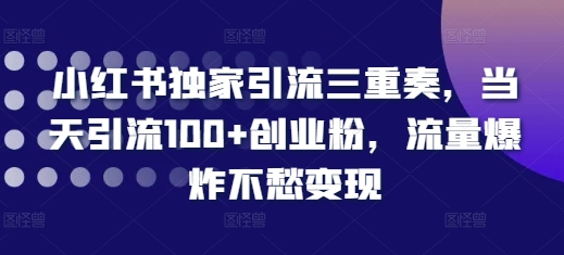 小红书独家引流三重奏,当天引流100+创业粉,流量爆炸不愁变现【揭秘】|淘骐网赚资源库