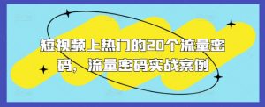 短视频上热门的20个流量密码,流量密码实战案例|淘骐网赚资源库