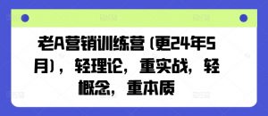 老A营销训练营(更24年11月),轻理论,重实战,轻概念,重本质|第一资源库