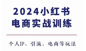 2024小红书电商3.0实战训练,包含个人IP、引流、电商等玩法|淘骐网赚资源库