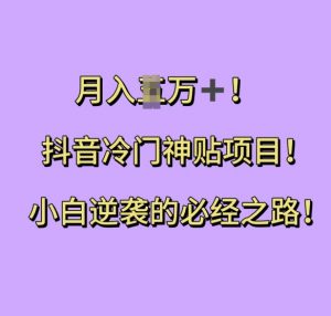 抖音冷门神贴项目,小白逆袭的必经之路,月入过W【揭秘】|淘骐网赚资源库
