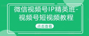 微信视频号IP精英班-视频号短视频教程|淘骐网赚资源库