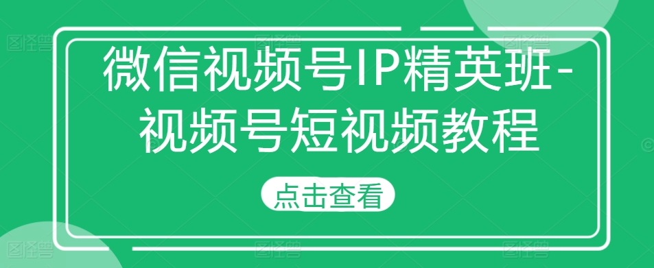 微信视频号IP精英班-视频号短视频教程|淘骐网赚资源库