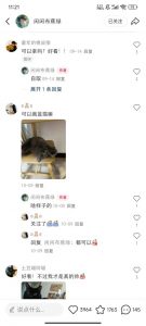 小红书私人定制图项目,附赠一单4W渠道【揭秘】|淘骐网赚资源库