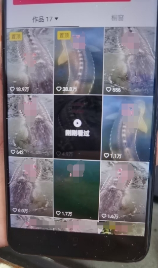 外面卖399的国学佛像原创暴力起号技术,快速起号,7天可达到一个万粉号|淘骐网赚资源库