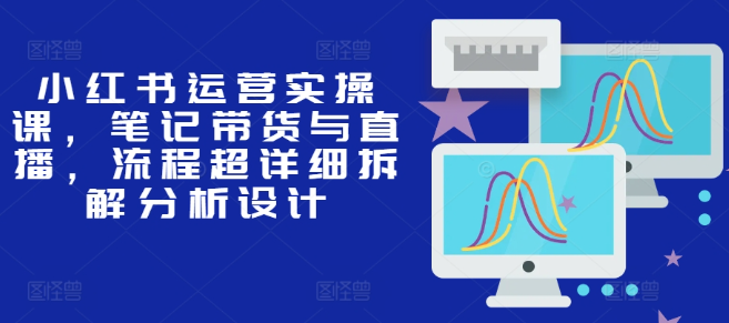 小红书运营实操课,笔记带货与直播,流程超详细拆解分析设计|淘骐网赚资源库