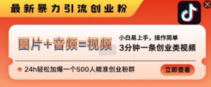 抖音最新暴力引流创业粉,3分钟一条创业类视频,24h轻松加爆一个500人精准创业粉群【揭秘】|淘骐网赚资源库