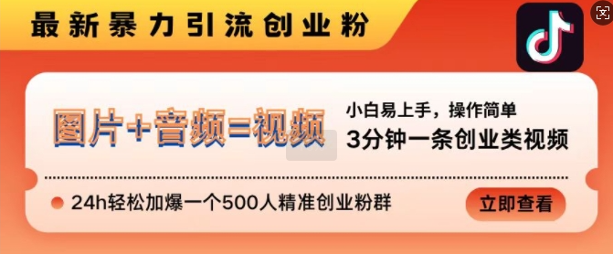 抖音最新暴力引流创业粉,3分钟一条创业类视频,24h轻松加爆一个500人精准创业粉群【揭秘】|淘骐网赚资源库