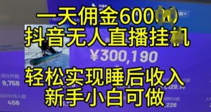 2024年11月抖音无人直播带货挂JI,小白的梦想之路,全天24小时收益不间断实现真正管道收益【揭秘】|淘骐网赚资源库