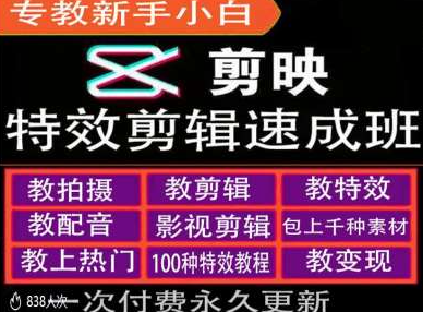 剪映特效教程和运营变现教程,特效剪辑速成班,专教新手小白|淘骐网赚资源库