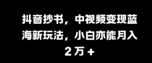 抖音抄书,中视频变现蓝海新玩法,小白亦能月入 过W【揭秘】|淘骐网赚资源库