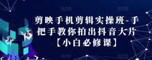 剪映手机剪辑实操班-手把手教你拍出抖音大片【小白必修课】|淘骐网赚资源库