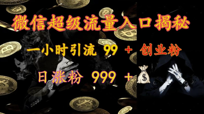 微信超级流量入口揭秘:一小时引流 99 + 创业粉,日涨粉 999 +|淘骐网赚资源库