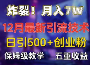 炸裂!揭秘12月最新日引流500+精准创业粉，多重收益保姆级教学|淘骐网赚资源库