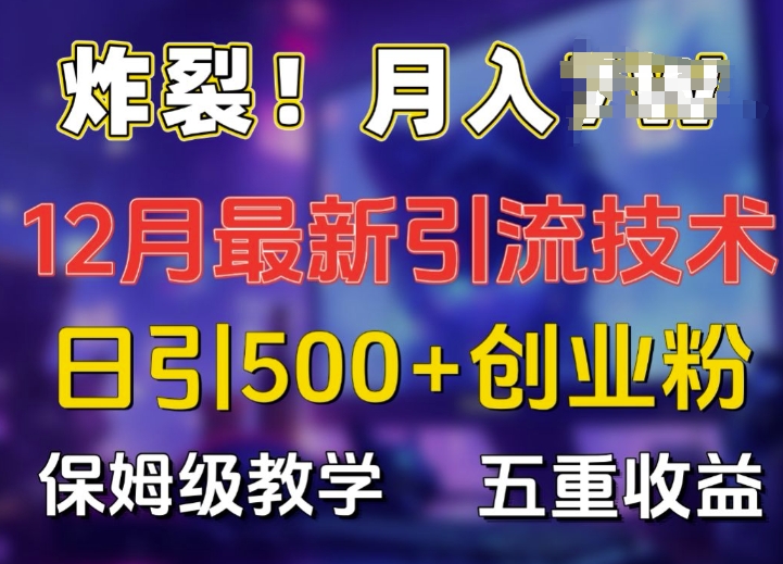 炸裂!揭秘12月最新日引流500+精准创业粉，多重收益保姆级教学|淘骐网赚资源库