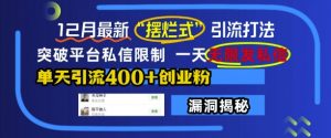 12月最新“摆烂式”引流打法，突破平台私信限制，一天无限发私信，单天引流400+创业粉|淘骐网赚资源库